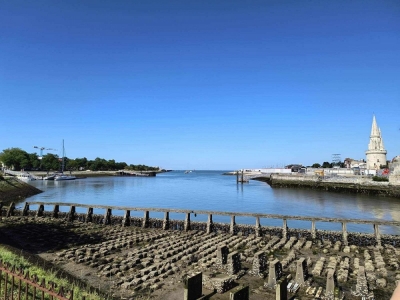 Êðóèç èç Áèñêàéñêèÿ çàëèâ ñ MSC Virtuosa 19.06.2026